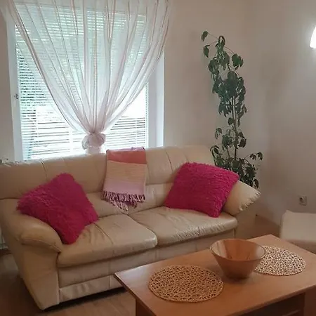 Apartma With 2 Bedrooms And Big Family Garden 公寓 博希尼